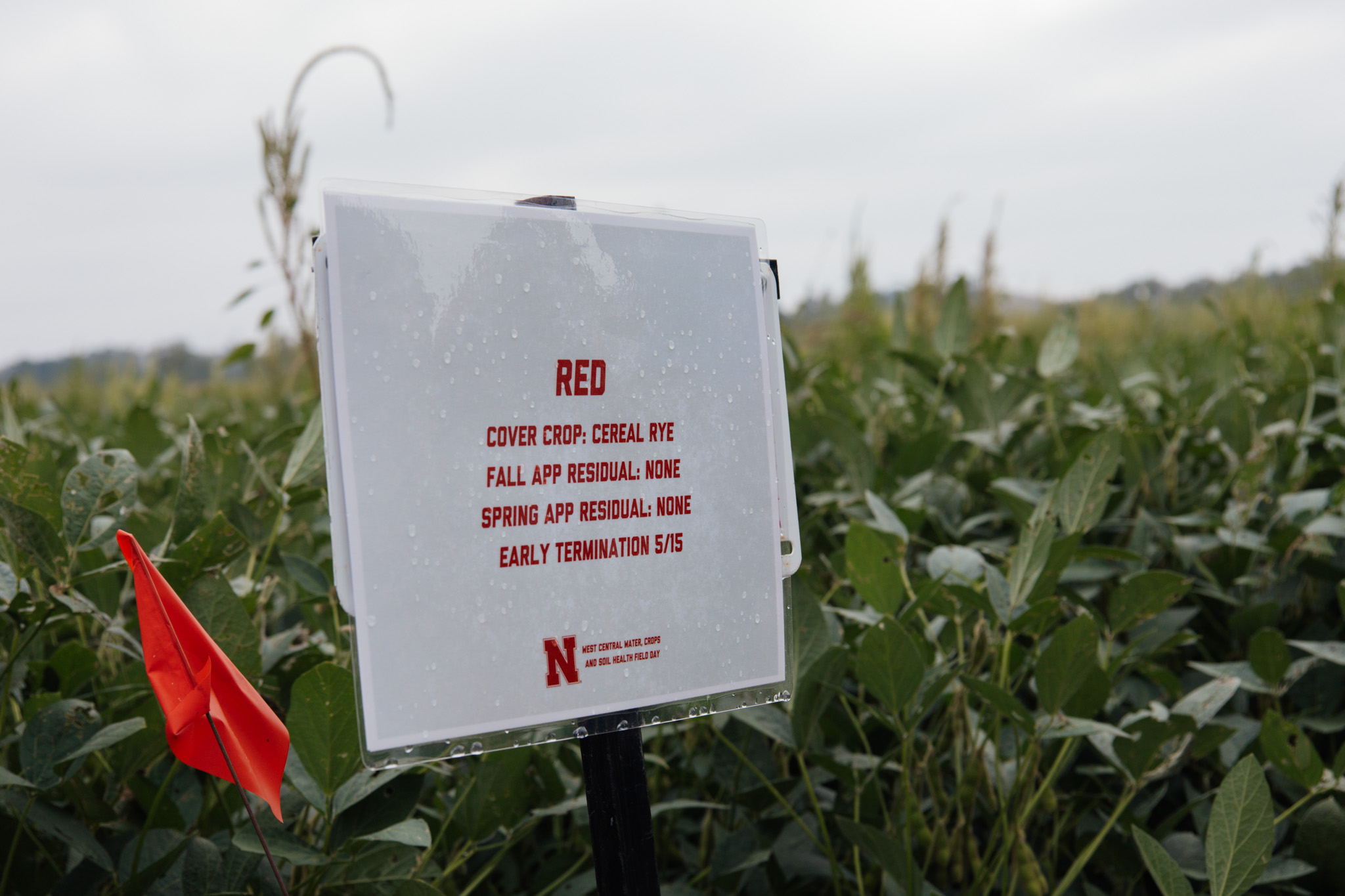 Sign identifying research plot