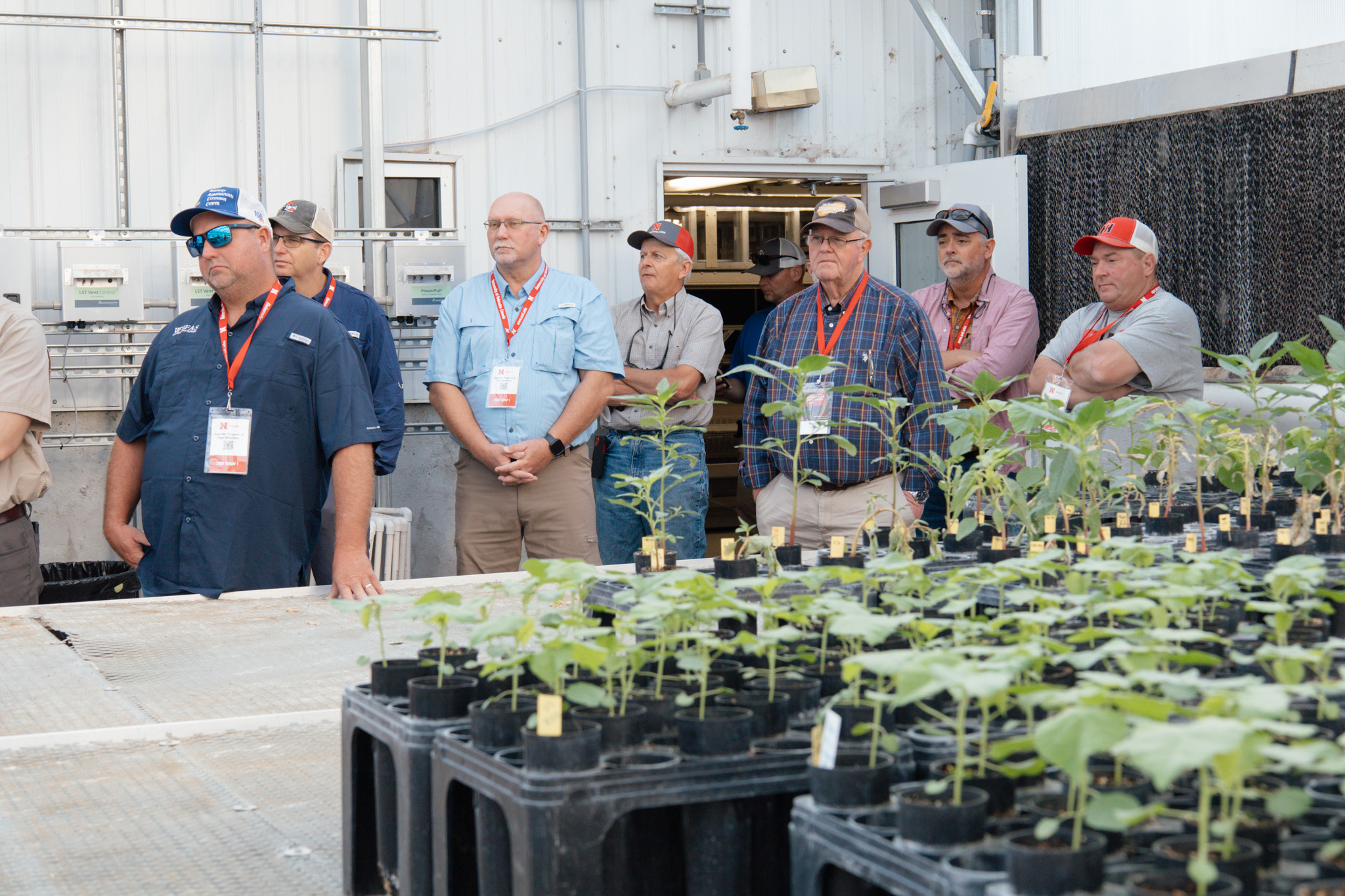 Tour in the PAT Lab Greenhouse