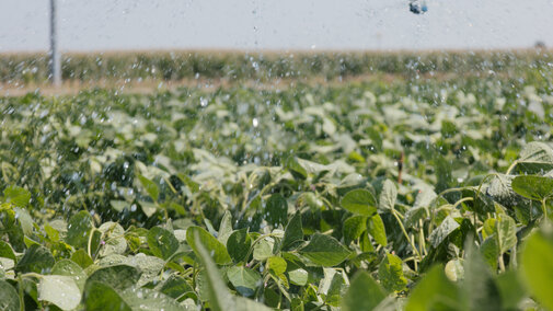 Irrigation pivot watering a soybean field