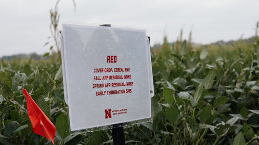 Sign identifying research plot