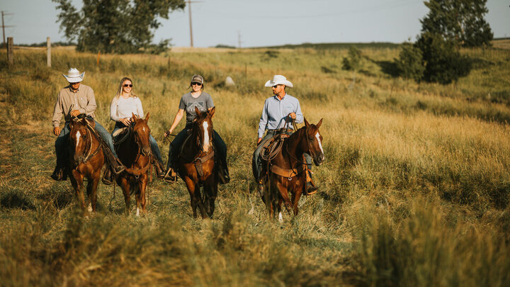 four riders on horseback