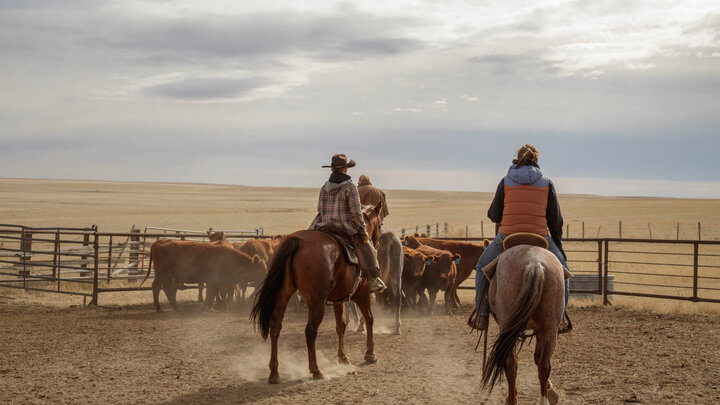 Two riders on horseback guide a group of cattle into a corral on an open prairie, with dust rising from the ground under a wide, cloudy sky.