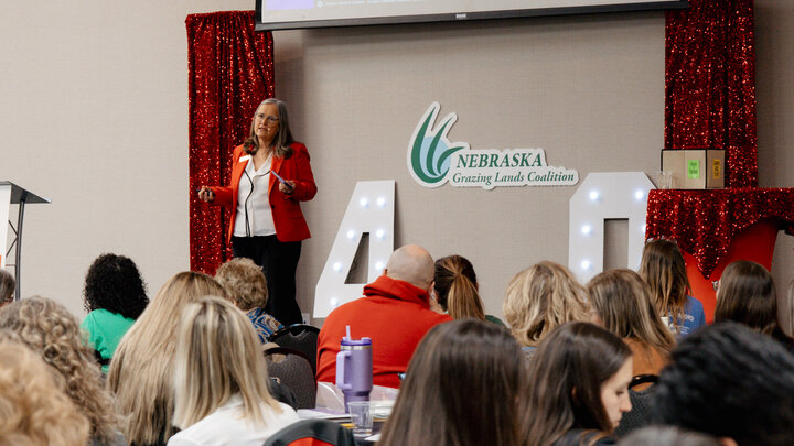 Keynote Speaker Elaine Froese speaks at the 2025 WIA Conference.