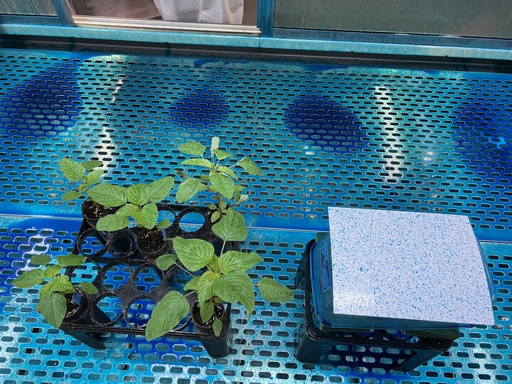 Spray example from the PAT lab