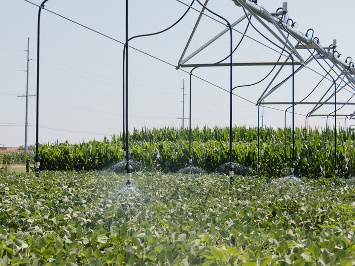 Irrigation pivot watering a soybean field