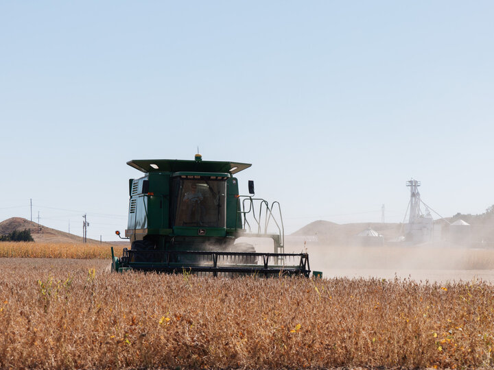 Combine harvesting soybean field