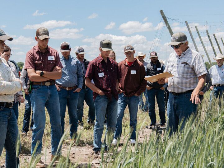 Jerry Volesky, professor of agronomy and horticulture and extension range and forest specialist, explains different varieties of annual forages to participants in the Nebraska Ranch Practicum.