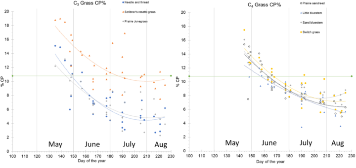 Graphs depicting crude protein concentrations for eight cool-season and warm-season grass species. 