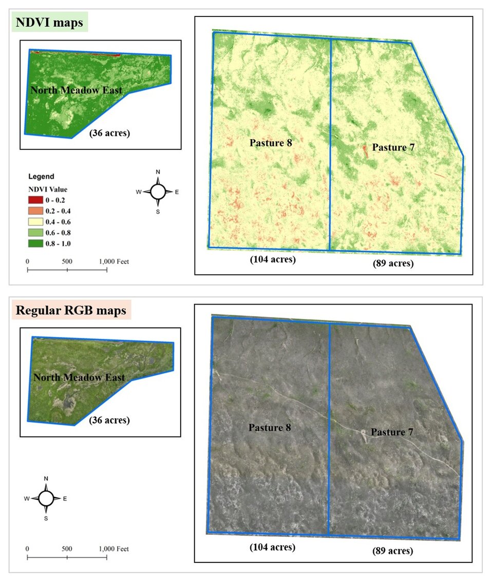 Figure depicting maps that help monitor vegetation on rangelands and pastures